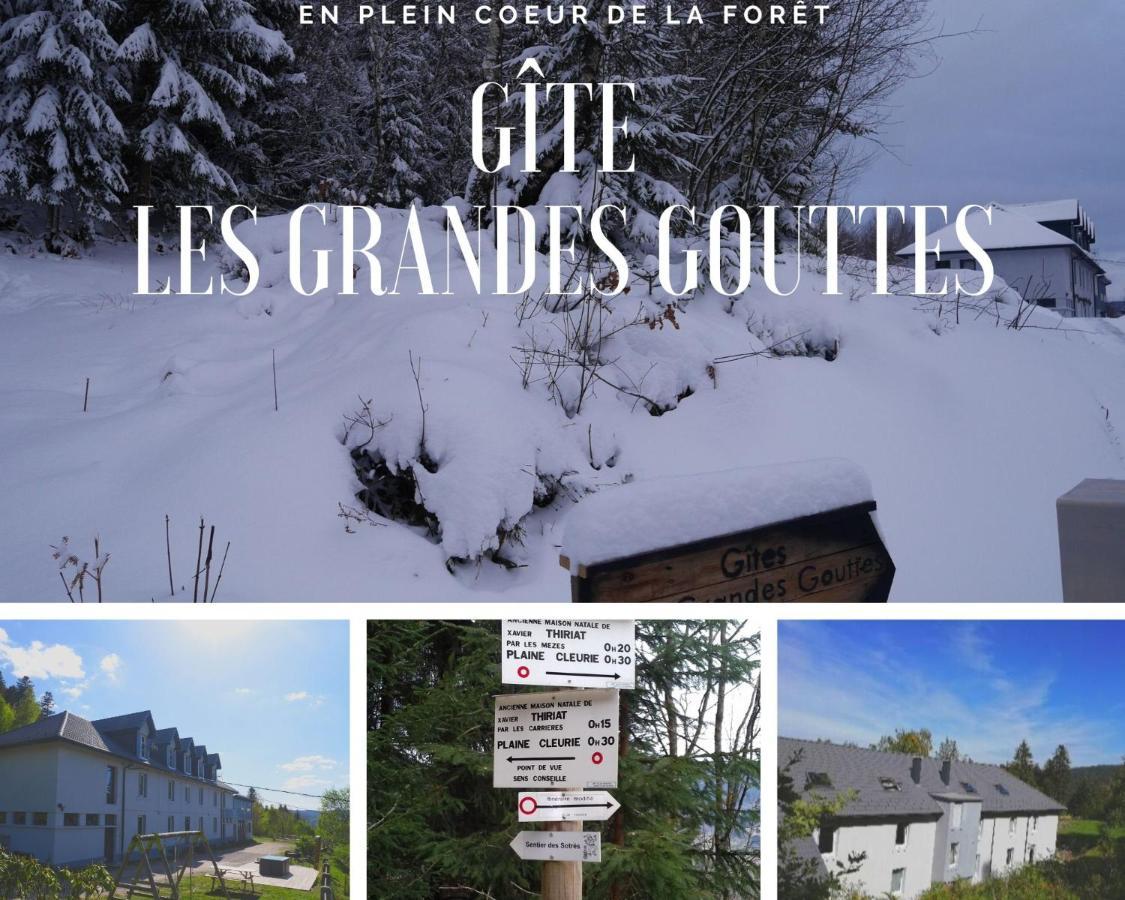 Gites Les Grandes Gouttes Le Syndicat Ngoại thất bức ảnh